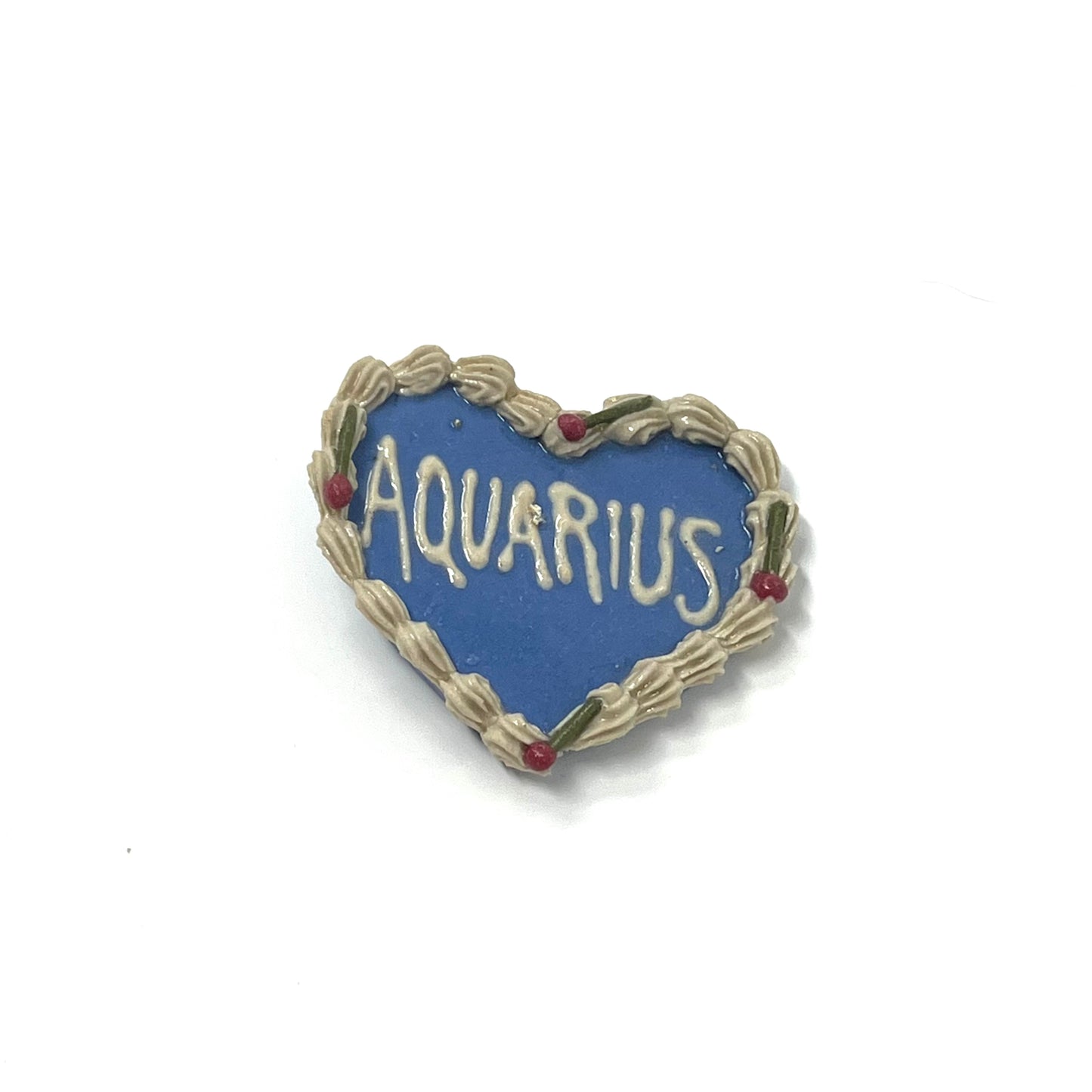 Aquarius Magnets