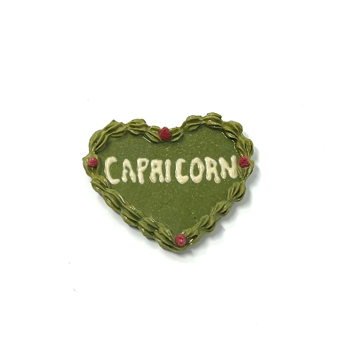 Capricorn Magnets