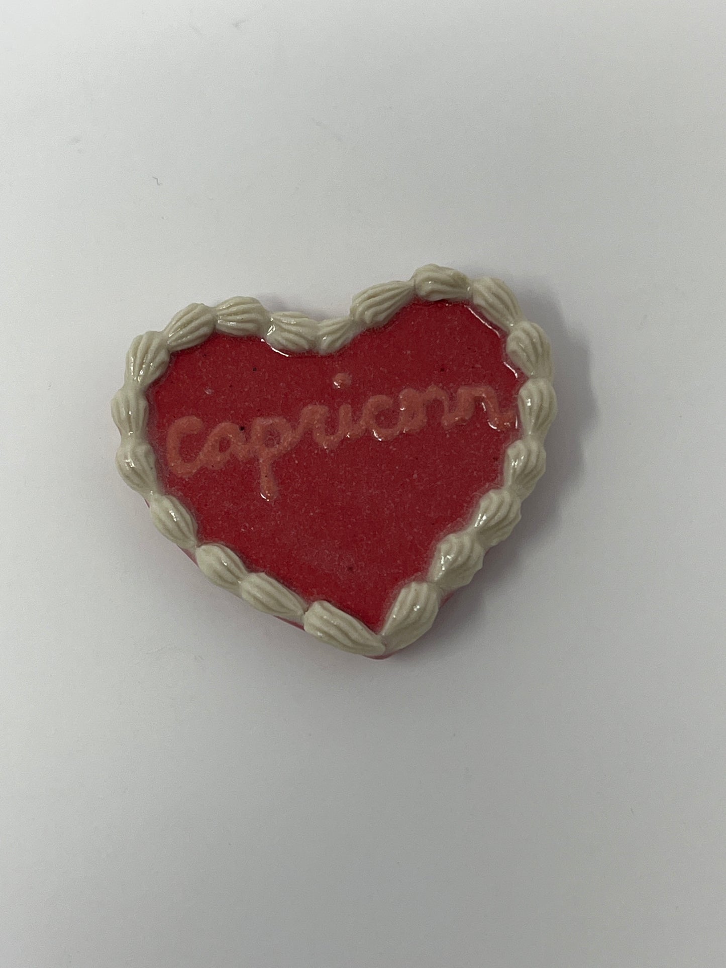 Capricorn Magnets