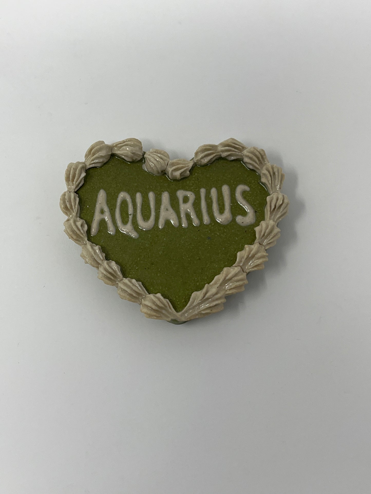 Aquarius Magnets