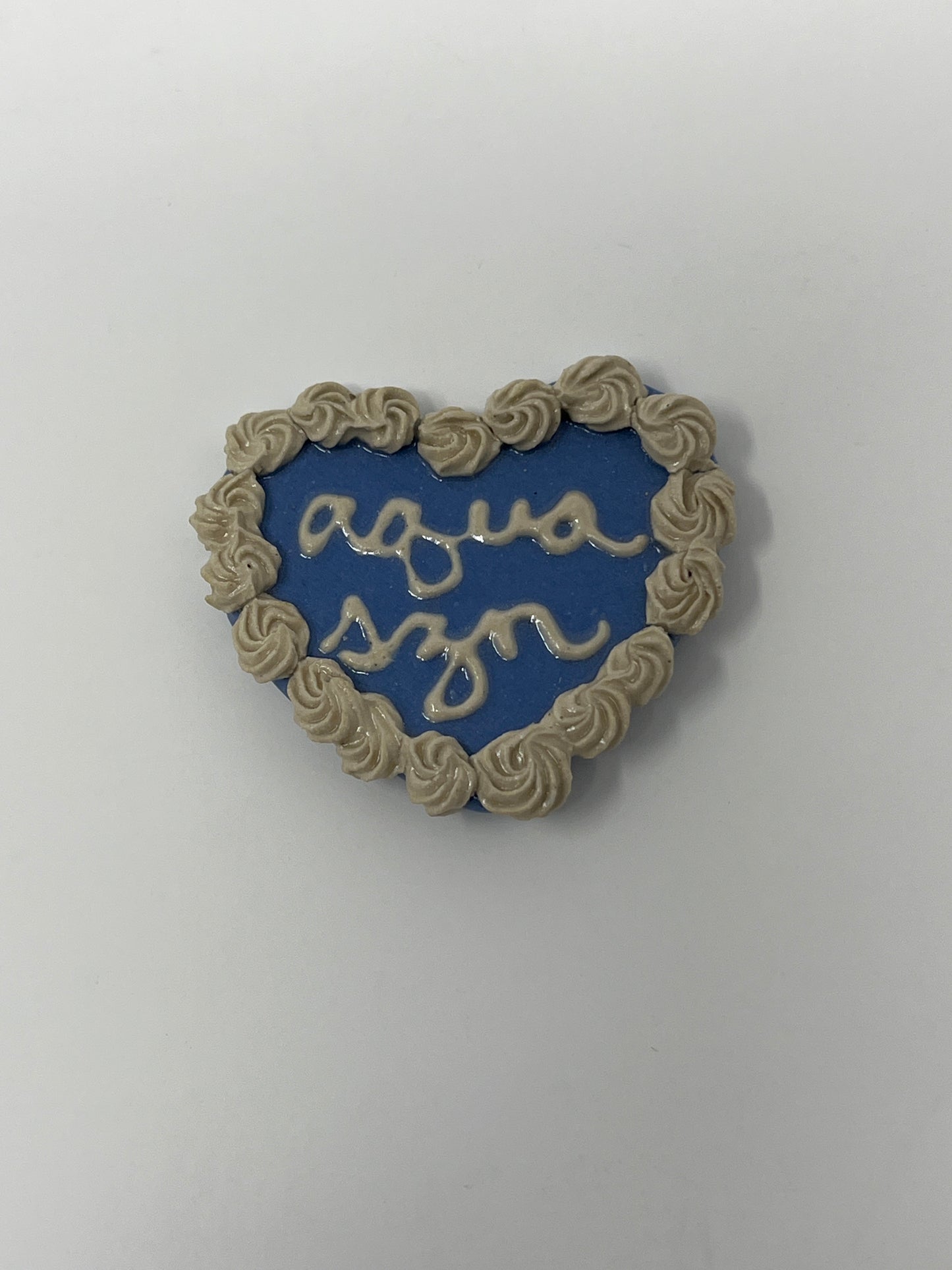 Aquarius Magnets