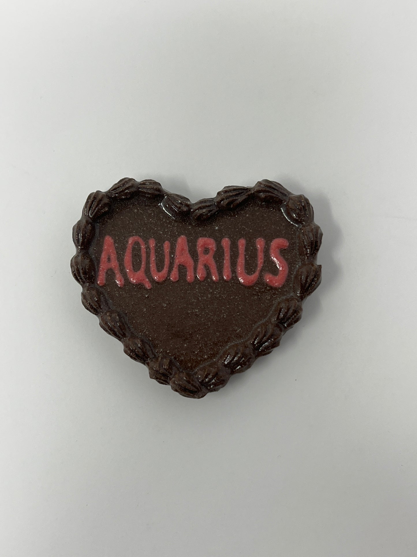 Aquarius Magnets