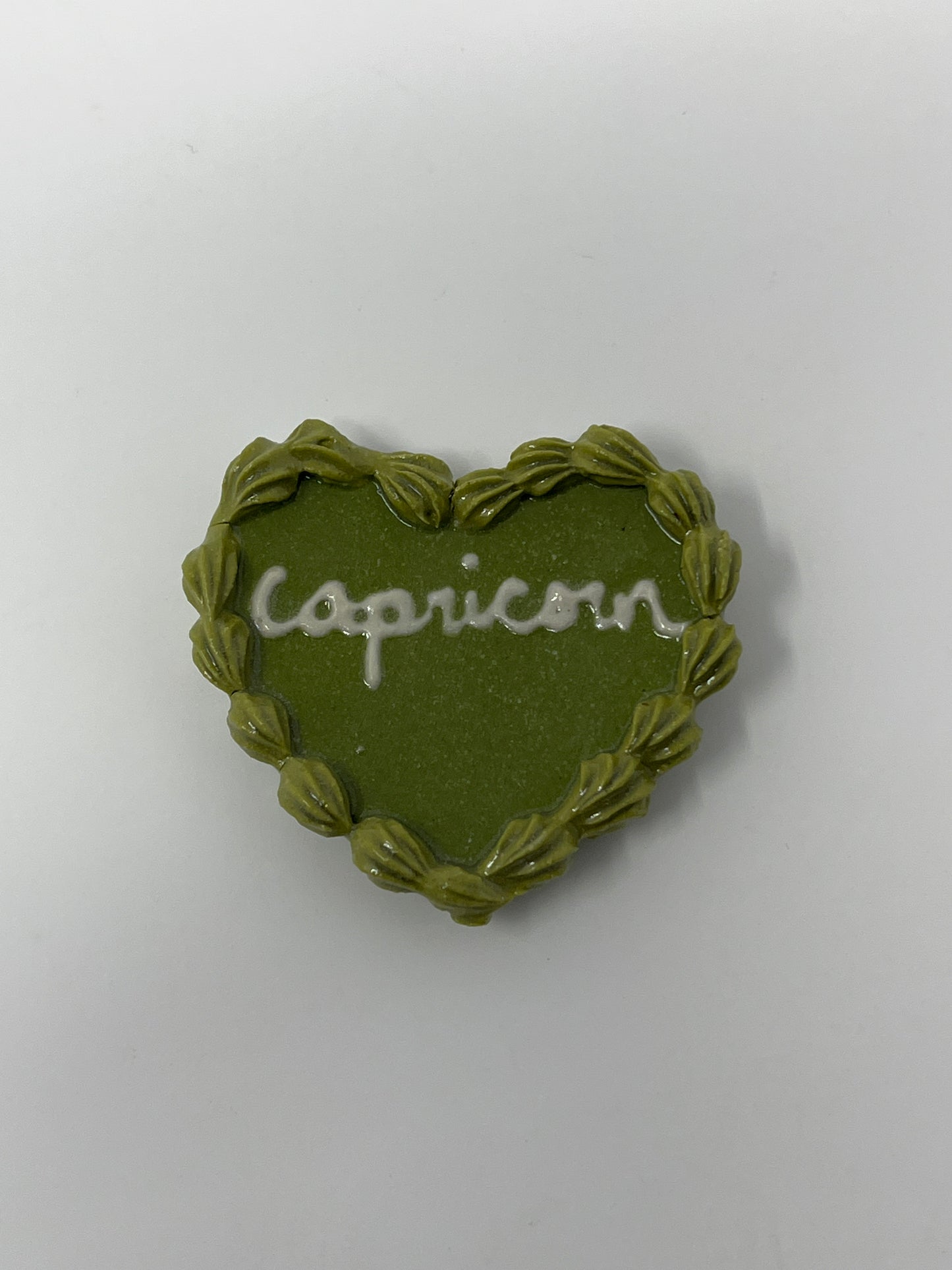 Capricorn Magnets