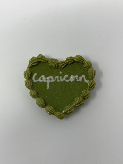Capricorn Magnets