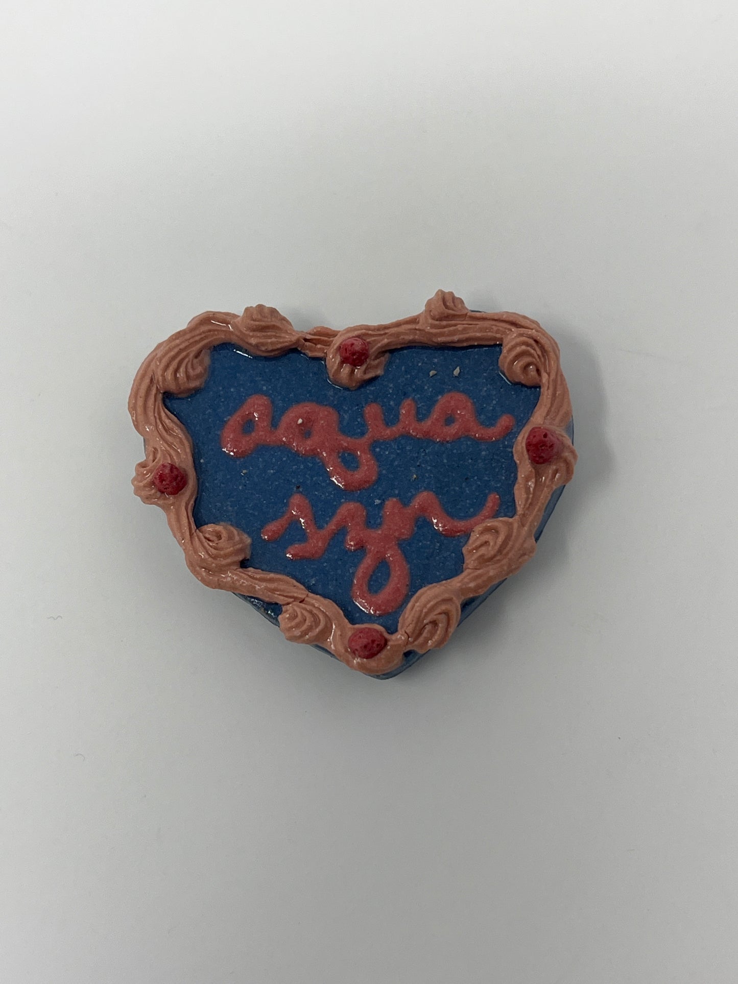 Aquarius Magnets