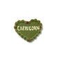 Capricorn Magnets