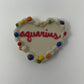 Aquarius Magnets